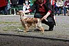 IMG_4085.JPG