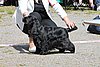 IMG_4090.JPG