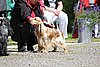 IMG_4091.JPG