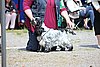 IMG_4092.JPG