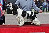 IMG_4094.JPG