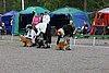 IMG_4096.JPG