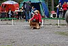 IMG_4097.JPG
