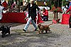 IMG_4101.JPG