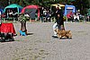IMG_4105.JPG