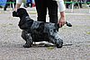 IMG_4112.JPG