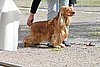 IMG_4116.JPG