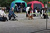 IMG_4133.JPG