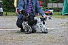 IMG_4140.JPG