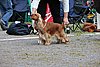 IMG_4143.JPG