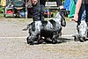 IMG_4152.JPG
