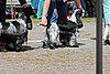 IMG_4153.JPG