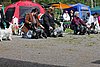 IMG_4154.JPG