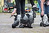 IMG_4156.JPG