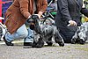 IMG_4157.JPG