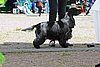 IMG_4178.JPG