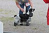 IMG_4179.JPG
