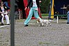 IMG_4182.JPG