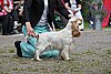 IMG_4184.JPG