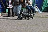IMG_4186.JPG