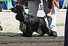 IMG_4193.JPG