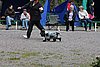 IMG_4195.JPG