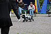 IMG_4198.JPG