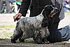IMG_4200.JPG