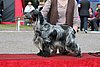 IMG_4201.JPG
