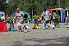 IMG_4209.JPG