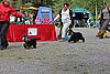 IMG_4212.JPG