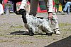 IMG_4216.JPG