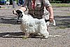 IMG_4220.JPG