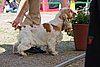 IMG_4224.JPG