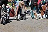 IMG_4225.JPG