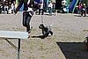 IMG_4228.JPG