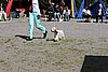 IMG_4232.JPG