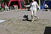 IMG_4237.JPG