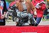 IMG_4240.JPG