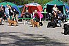 IMG_4244.JPG