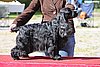 IMG_4247.JPG