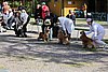 IMG_4259.JPG