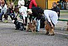 IMG_4265.JPG