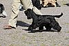 IMG_4270.JPG
