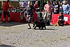 IMG_4276.JPG