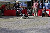 IMG_4278.JPG