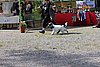 IMG_4281.JPG