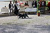 IMG_4285.JPG