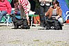 IMG_4292.JPG