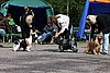 IMG_4294.JPG